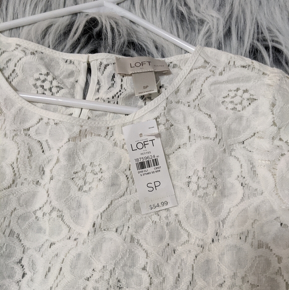 NWT Lace LOFT short sleeve top - Picture 5 of 6